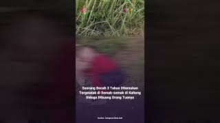 Download lagu Bocah 3 Tahun DitemukanTergelatak di Semak-semak di Kalteng, Diduga Dibuang Orang Tuanya #viral mp3 Download lagu Bocah 3 Tahun DitemukanTergelatak di Semak-semak di Kalteng, Diduga Dibuang Orang Tuanya #viral mp3