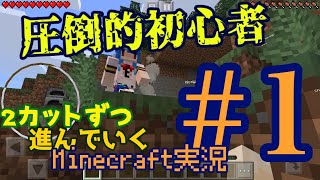 ガチの初心者がゆくMinecraft　2カットずつ進んでいくMinecraft実況#1 ゆっくり実況