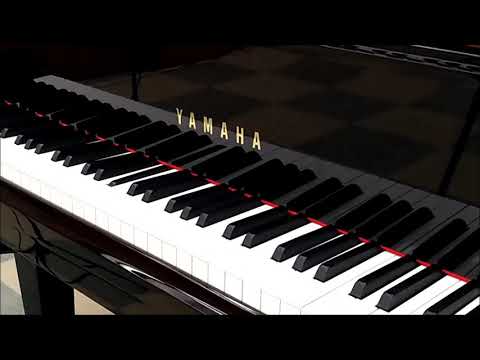 Ampico, Oh! Harold, Adam Carroll