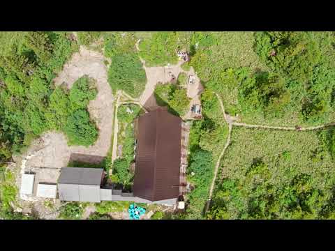 Mt Hiuchi Summer & Autumn