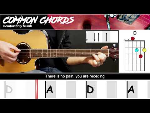 Comfortably Numb (ver2) - Pink Floyd | EASY GUITAR LESSON | Scrolling Chords & Lyrics