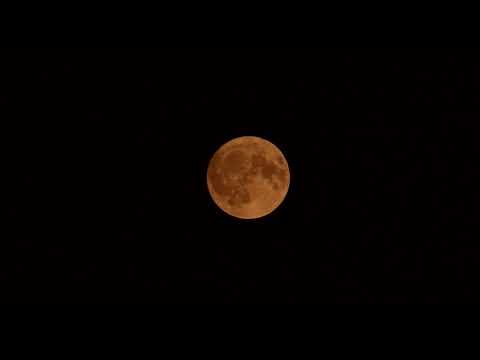 MUNDO UNIDO | PAISES UNIDOS DEL PLANETA TIERRA