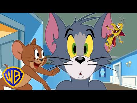 Capa de Tom & Jerry em Português | Brasil | O Problema do Carrapato do Tom | WB Kids