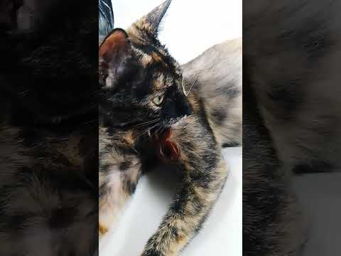 ❤️SUUZ❤️    Wear Infinity Spirit Necklace