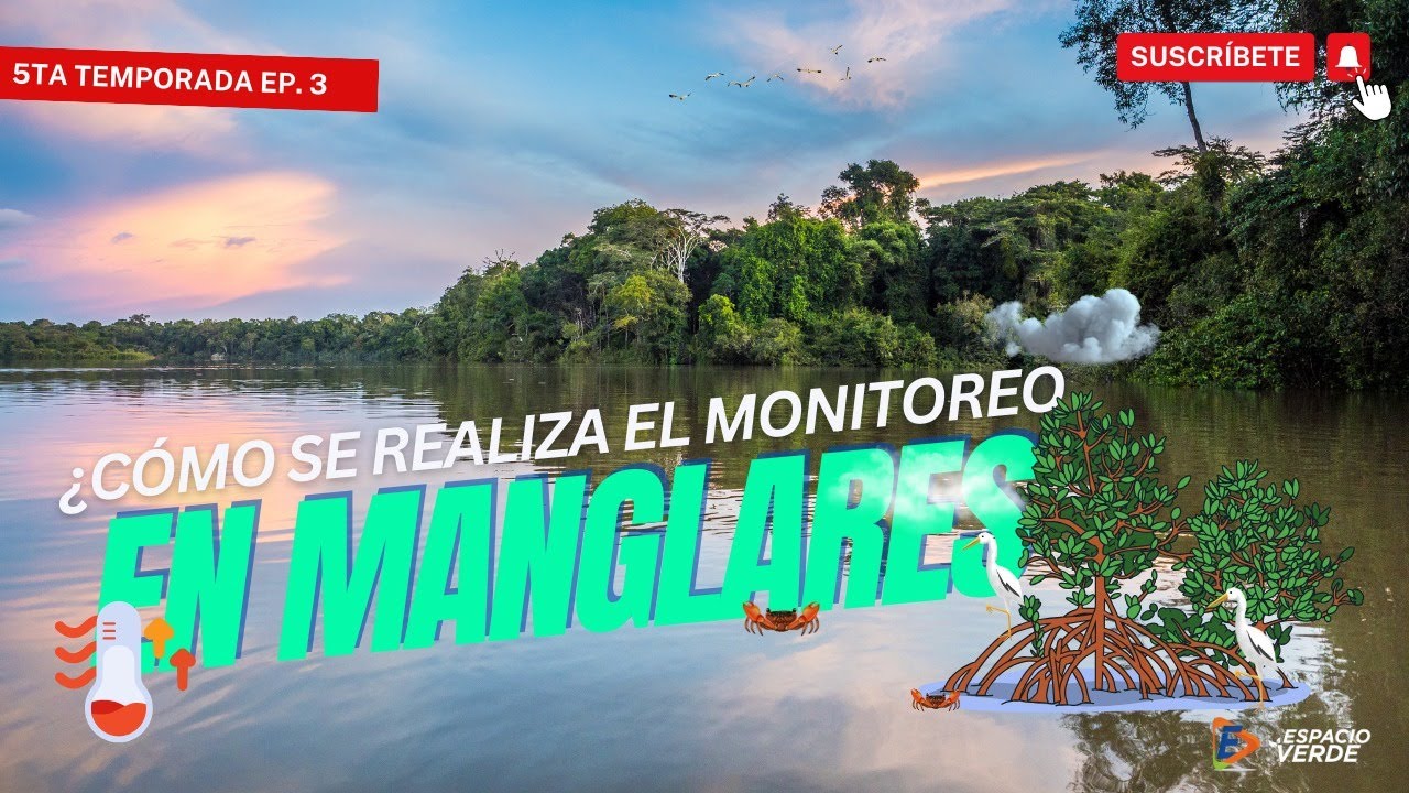 T5. Cap. 3 | ¿Cómo se realiza el monitoreo en manglares?
