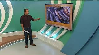 Miniatura do vídeo