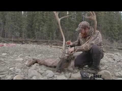 Treating Meat With Citric Acid |  Dropped Ep.7