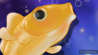 Download lagu HAPPY FISH Kalimba Album mp3
