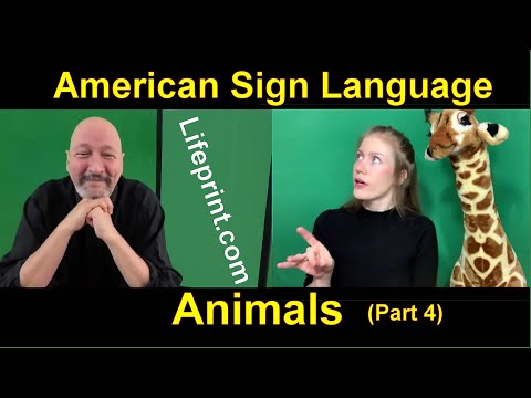 Lesson 12 Story B Cäsar Jacobson Dr Bill ASLU Lifeprint com American Sign Language ASL