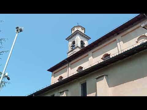 Le campane di Marchirolo (VA) - San Martino Vescovo 3