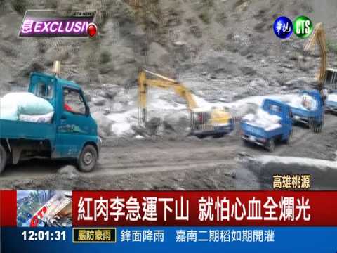 荖濃溪暴漲路毀! 桃源3里成孤島