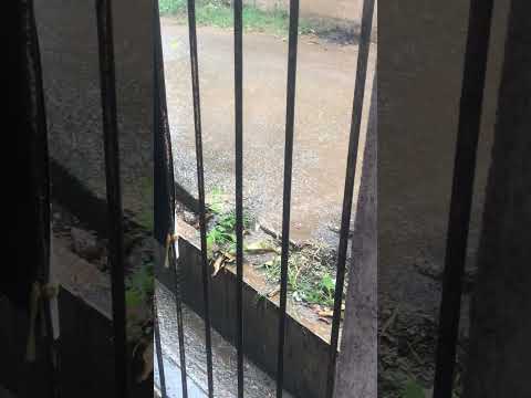 Welcome 🤗 zakee ☔️☔️☔️☔️🌧️🌧️🌧️🌧️💦💦💦💦