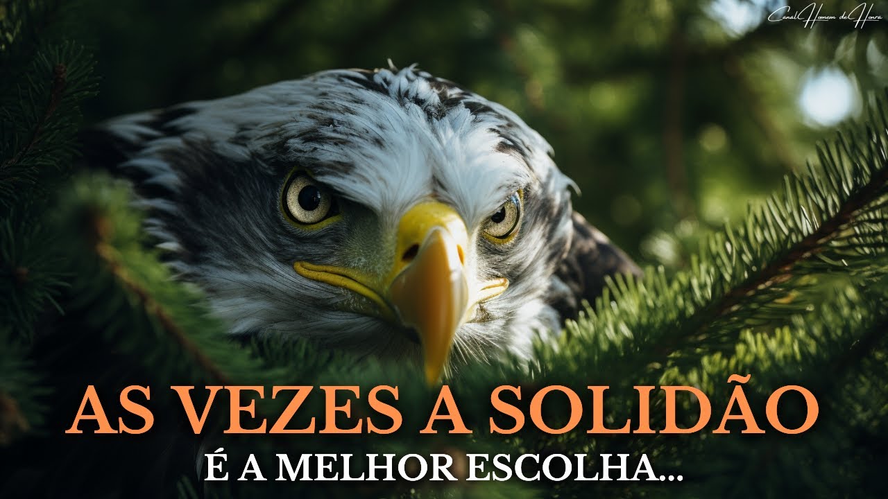 A ÁGUIA SOLITÁRIA (Como vencer a Solidão)