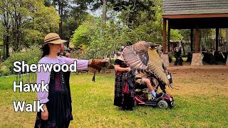 Sherwood Forest Faire: The Hawk Walk Experience