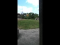 Detroit Zoo Pt 5