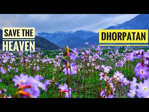 Dream Destination But I am Very Sad to reach Dhorpatan|| Save The Dhorpatan