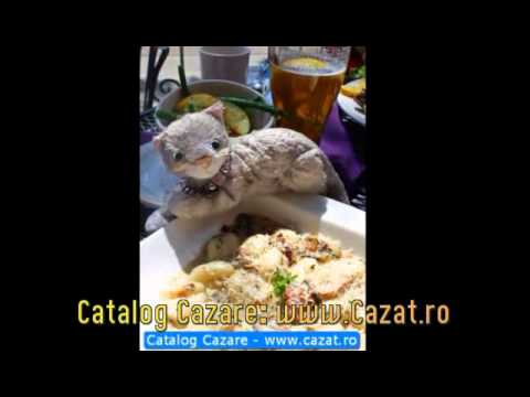 Cazare Nandru, Hunedoara - Cazat.ro