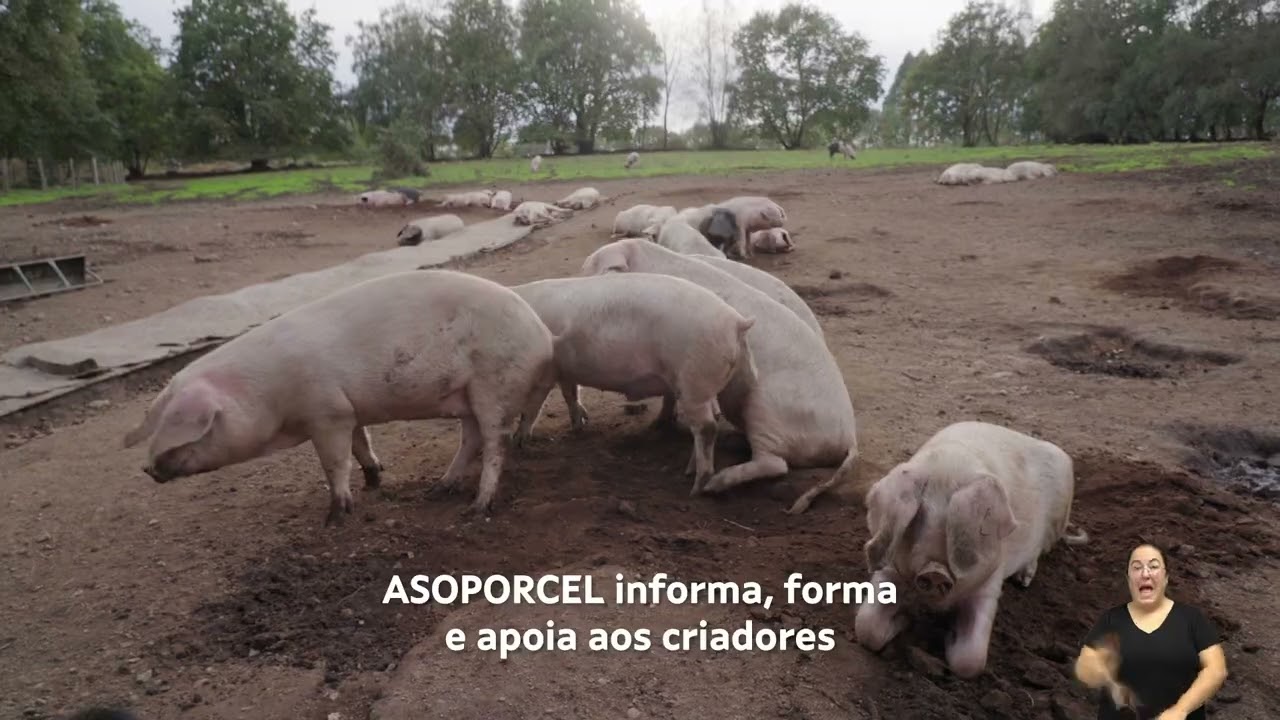 2022 Recuperación e posta en valor da terra agraria ASPORCEL