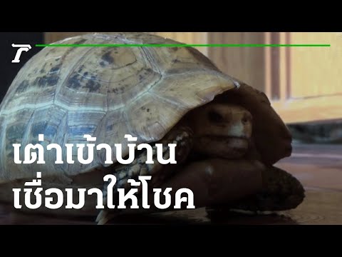 หวย เจ้าพายุ