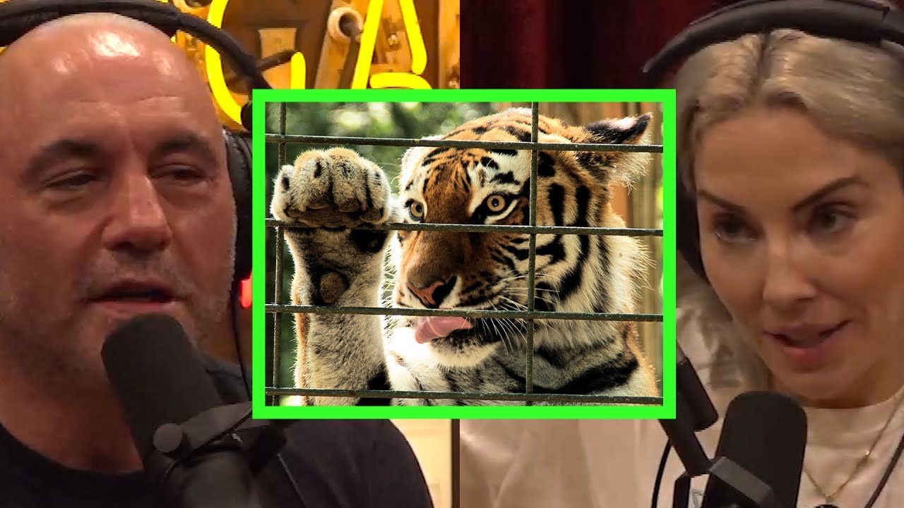 The Cruelty of Keeping Exotic Animals in Captivity