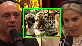 The Cruelty of Keeping Exotic Animals in Captivity