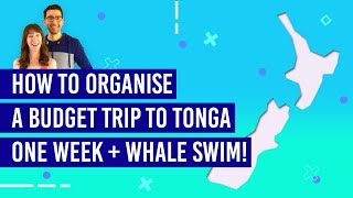 🐋🌴 How To Plan a Budget Trip to Tonga (With Whale Sim!)