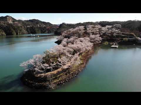 恵那峡の桜【空撮】 2019年4月11日 4K
