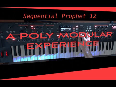 Prophet 12 (Hold and Drone) - A poly modular experience