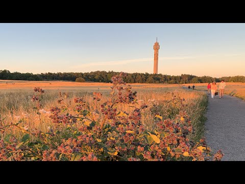 Virtual Walk in Stockholm. 4K w natural sound in August sun. Gärdet – Djurgårdsbrunnskanalen