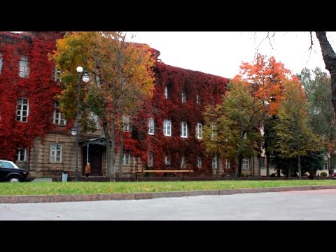 The image film of the Yanka Kupala State University of Grodno