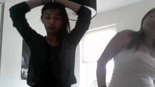 Dansmusik - Den svenska björnstammen