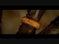 Riddle Of The Ring