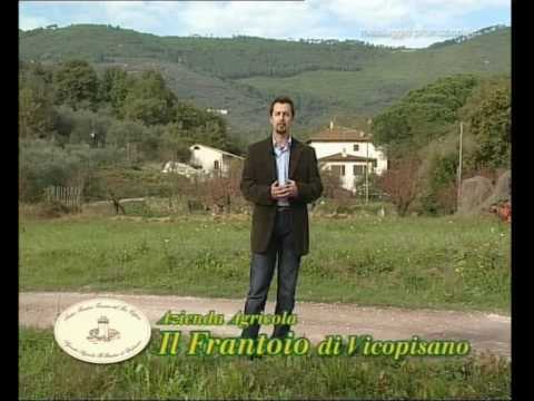 AZIENDA AGRICOLA IL FRANTOIO DI VICOPISANO