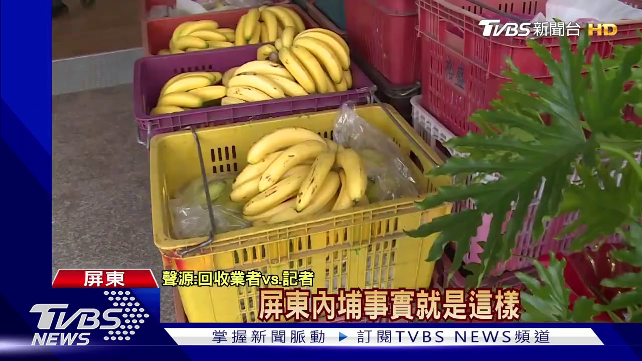價崩難銷！　直擊屏東「香蕉車隊」排隊等收購