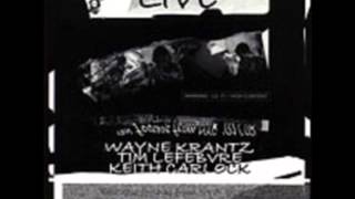 Wayne Krantz - Blues 2