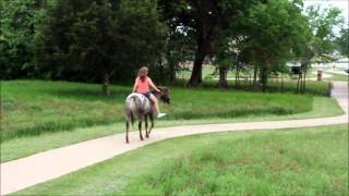 It's your life Francesca Battistelli music video~ noel