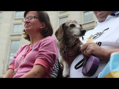 Weiner 500 Dachshund Dash