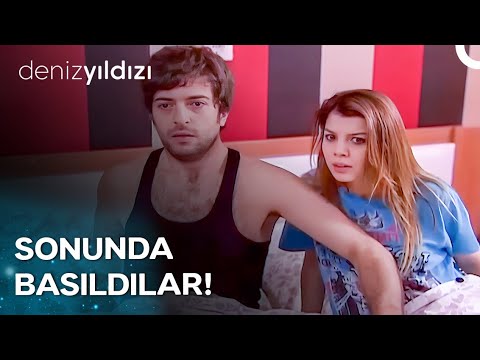 The Poorhouse Diaries #419 Starfish