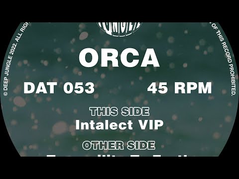 Orca - Intalect VIP