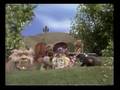 Sesame Street Hoots Rewrites Mary Had A Little Lamb