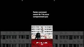Ils nous comprennent pas - PLK