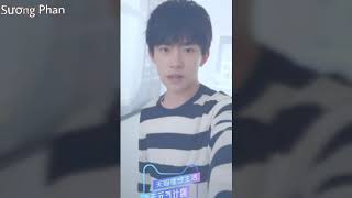 Cut Kẹo Bông Gòn [ Dịch Dương Thiên Tỉ]