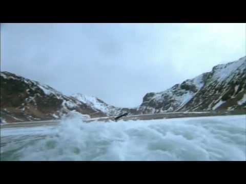 Pub Sprite / Rip Curl