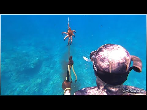 EP619-Part 1 - New Spot for Spearfishing | Occ. Mindoro
