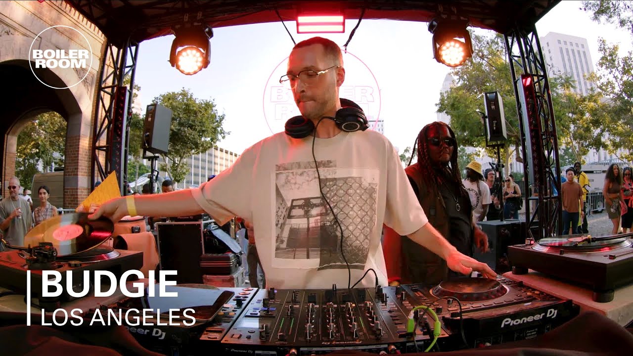 Budgie - Untitled Set