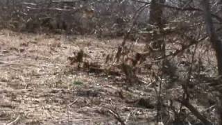 Speedex April Offroad Tour