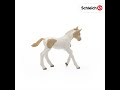 Schleich figūrėlė Paintų veislės kumeliukas