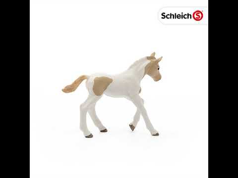 Schleich figūrėlė Paintų veislės kumeliukas video