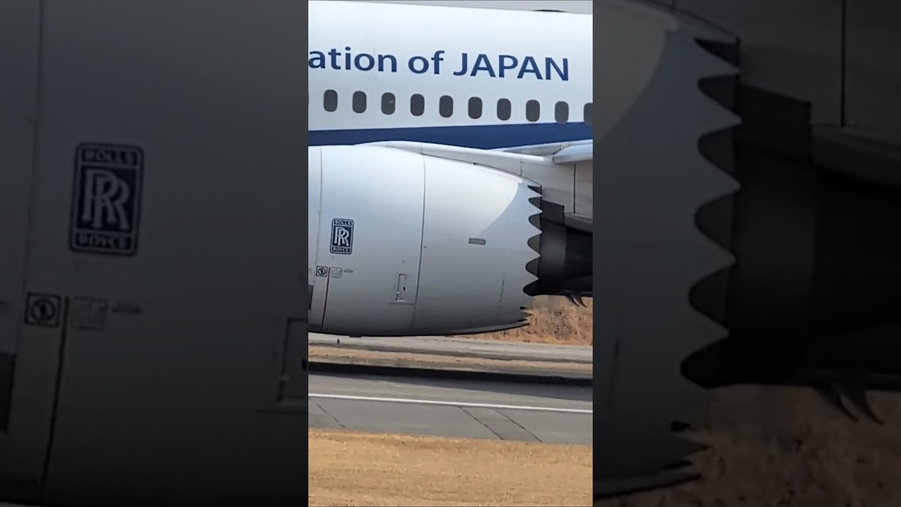 アップで撮影しました　　#shorts     #Osaka Itami Airport　#Airport  #plane   #飛行機　#大阪伊丹空港　#離陸