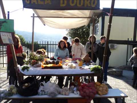 Feira de S Martinho e magusto